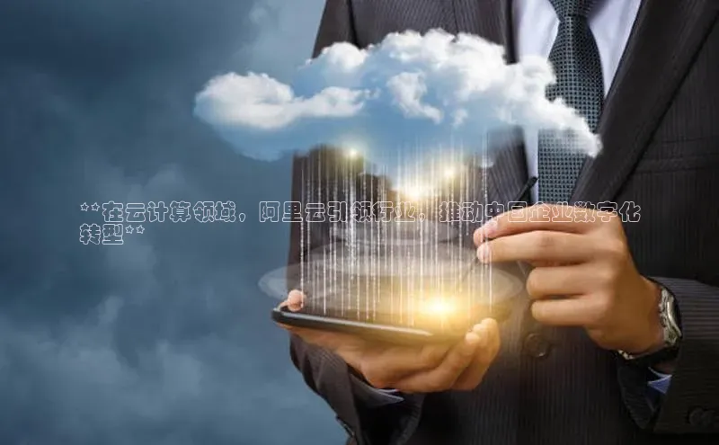 28圈平台官网版下载百度数据开放平台**在云计算领域，阿里云引领行业，推动中国企业数字化
转型**