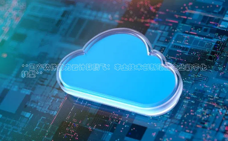 加拿大28预测开奖官网咪牌哇咔哇咔文化**国产软件助力云计算腾飞：本土技术创新赋能企业数字化
转型**