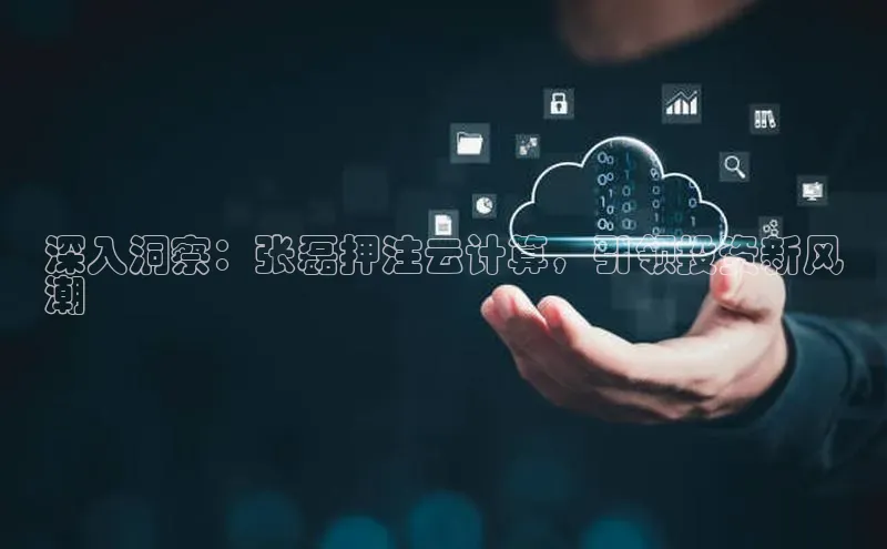 pc28加拿大官网咪牌颐驰 06深入洞察：张磊押注云计算，引领投资新风
潮