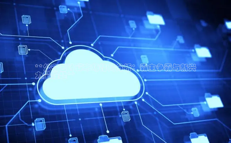 28圈电子游戏汉得信息**公有云计算市场格局分析：霸主争霸与新兴
力量崛起**