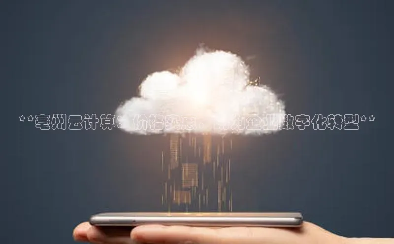 28圈平台官网版下载慧博云通**亳州云计算：价格实惠，助力企业数字化转型**