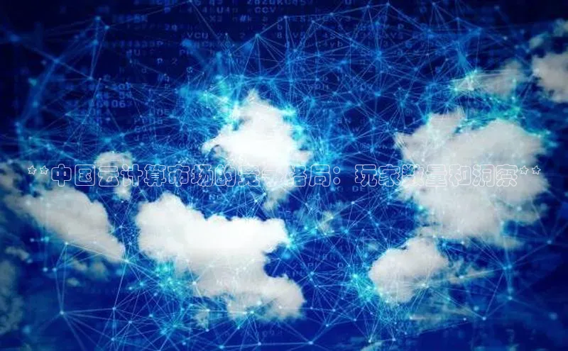 加拿大预测28在线预测官网网易**中国云计算市场的竞争格局：玩家数量和洞察**