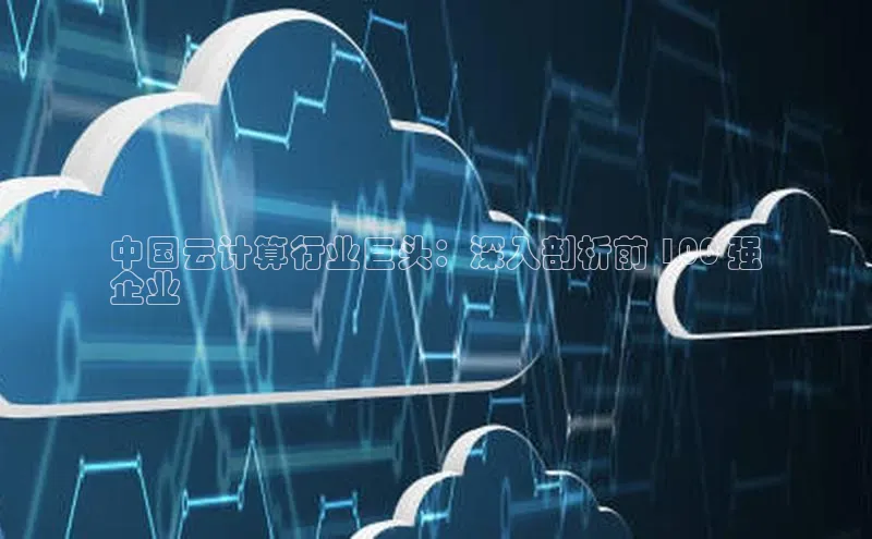 能玩加拿大28的网址百度营销中心中国云计算行业巨头：深入剖析前 100 强
企业