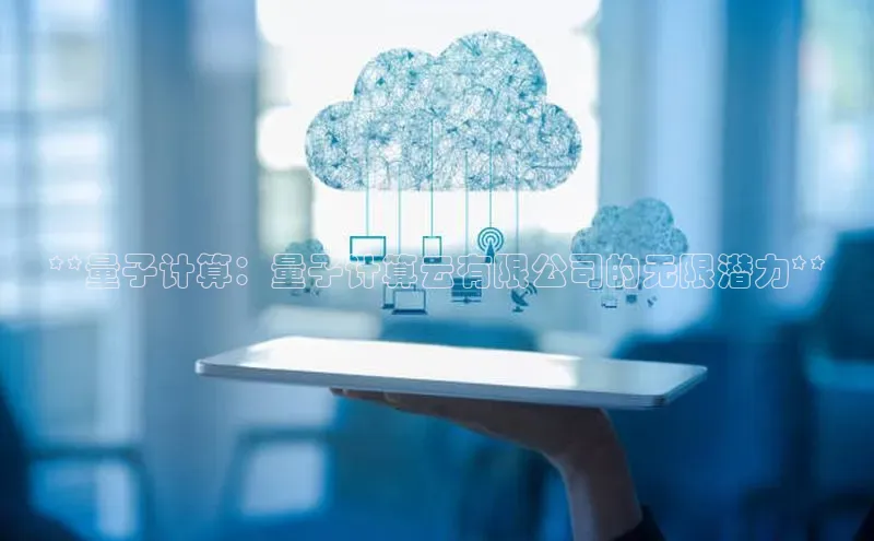 加拿大28圈官网版百度众测**量子计算：量子计算云有限公司的无限潜力**