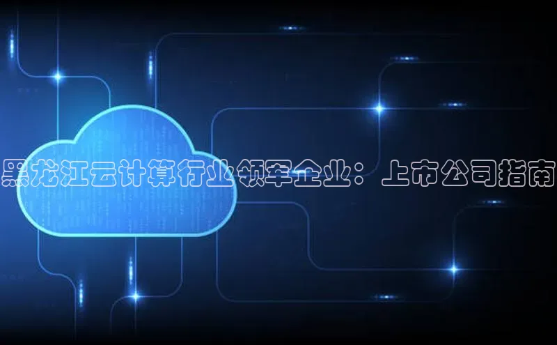 加拿大预测28在线预测官网ARGA公司黑龙江云计算行业领军企业：上市公司指南