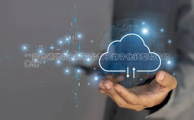 能玩加拿大28的网址如流**景德镇兆谷云计算公司：数字化转型和云的
先驱**