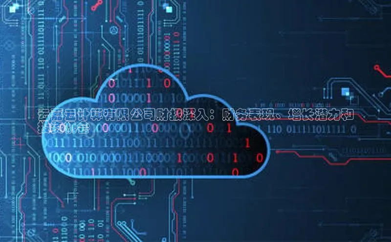 28圈.ccmpc正版彩讯股份云嘉云计算有限公司财报深入：财务表现、增长潜力和
投资机会