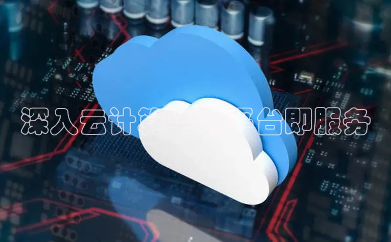 能玩加拿大28的网址如流深入云计算中的平台即服务