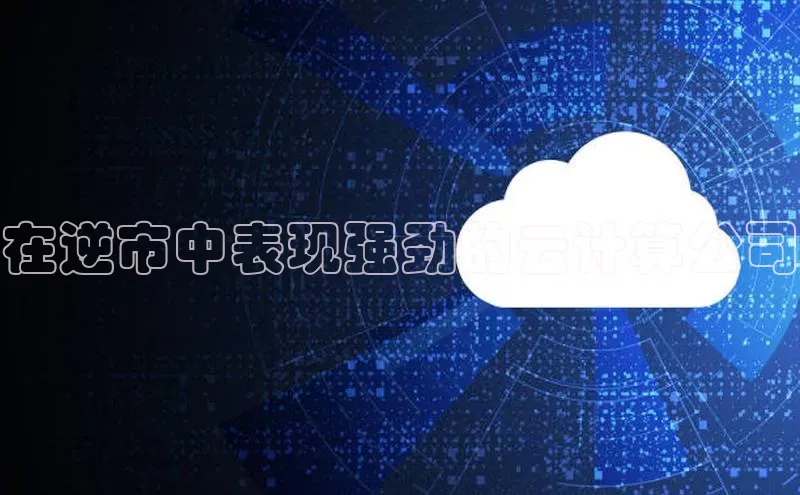 加拿大28圈官网版天键股份在逆市中表现强劲的云计算公司