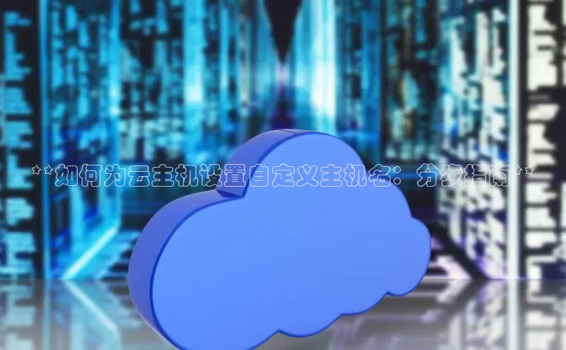 28圈平台链接华策影视**如何为云主机设置自定义主机名：分步指南**