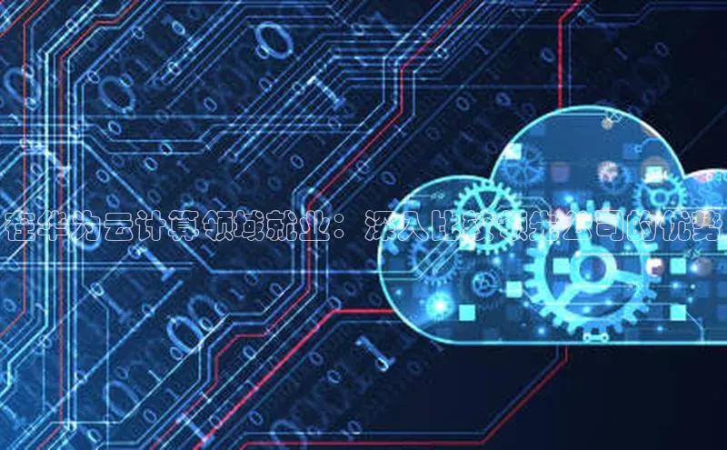 加拿大28圈下载百度翻译在华为云计算领域就业：深入比较领先公司的优势