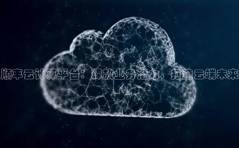 加拿大28圈app官网开奖结果顺丰顺丰云计算平台：释放业务潜力，打造云端未来