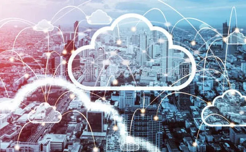 加拿大预测28在线预测官网网易**浩鲸云计算公司的优劣势分析：业界口碑与竞争
力评估**