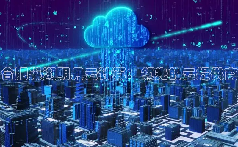 加拿大28圈预测大神百度学术合肥巢湖明月云计算：领先的云提供商