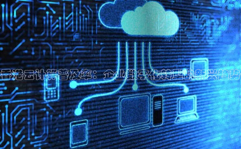 28圈.ccmpc携程香港云计算普及率：企业数字化转型的新兴趋势