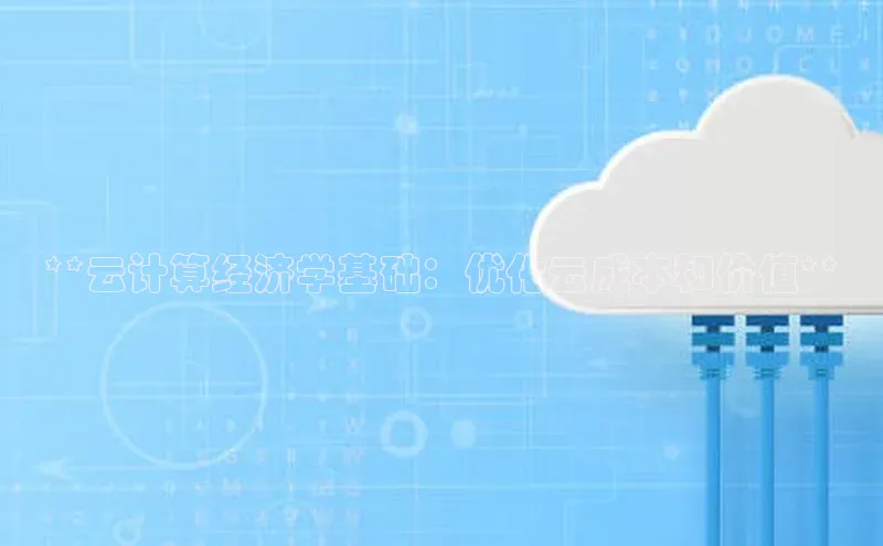 28圈.ccmpc正版彩讯股份**云计算经济学基础：优化云成本和价值**