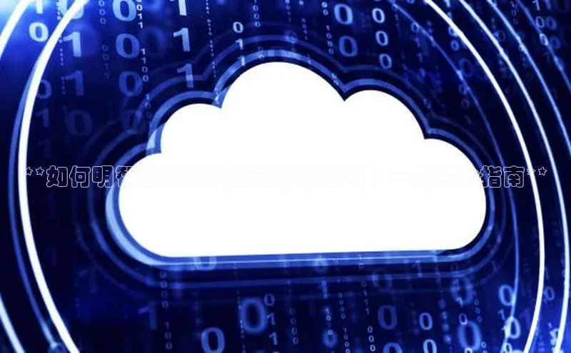 28圈app注册地址百度翻译App**如何明智地投资中国云计算公司：一份综合指南**