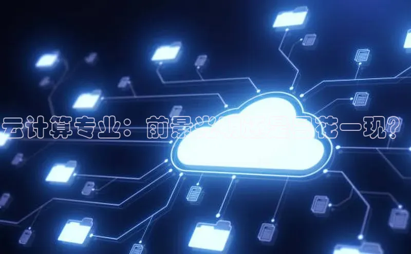 28圈平台链接中文在线云计算专业：前景光明还是昙花一现？