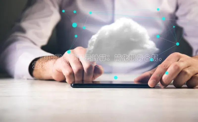 加拿大28圈.ccm挪威主权基金**国税网络申报云计算：简化税务合规，
业务增长**