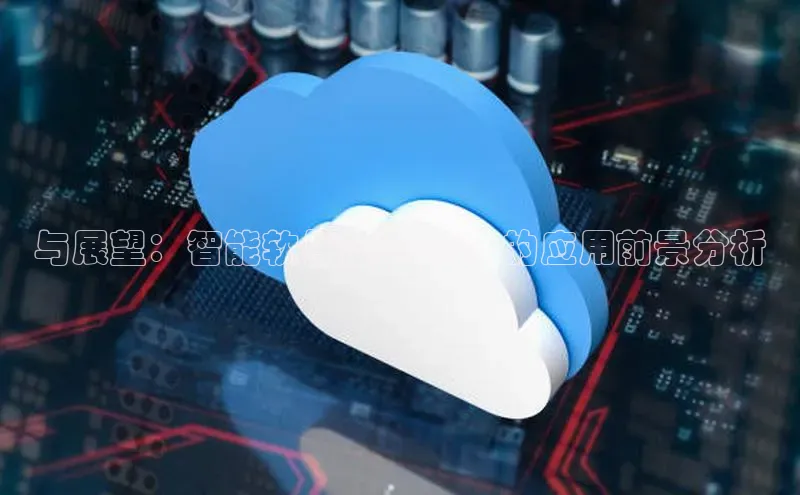 与展望：智能软件在2025年的应用前景分析
